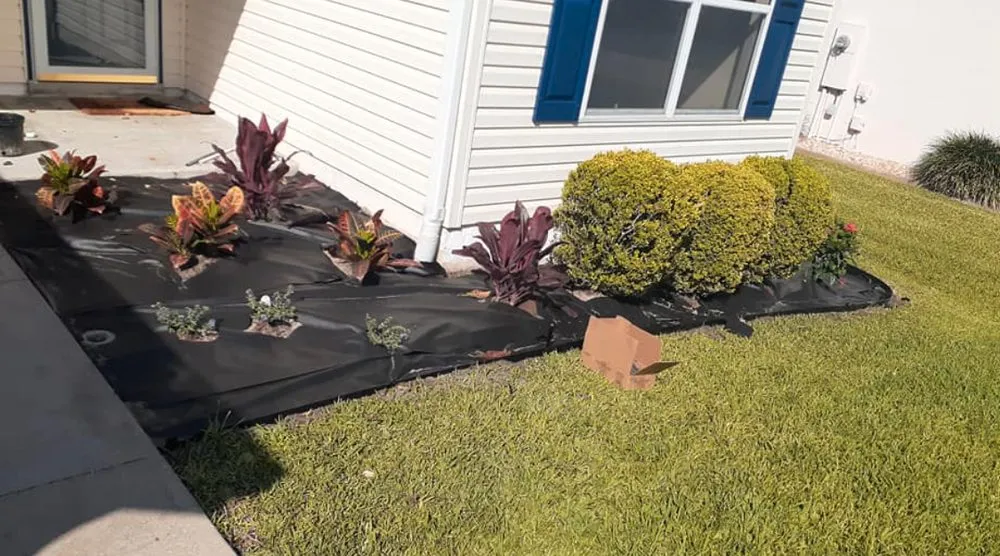 Trusted yard cleanup service in Summerfield, FL by Barnards lawn service