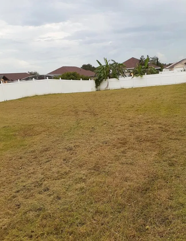 Top-rated landscaping services in Summerfield, FL - Barnards lawn service