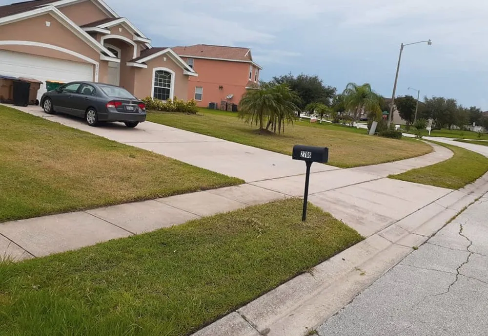 Custom landscaping services in Summerfield, FL by Barnards lawn service