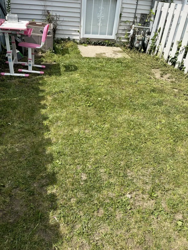 Top-rated yard cleanup service in Wauwatosa, WI by Barnes & Lawns Landscaping