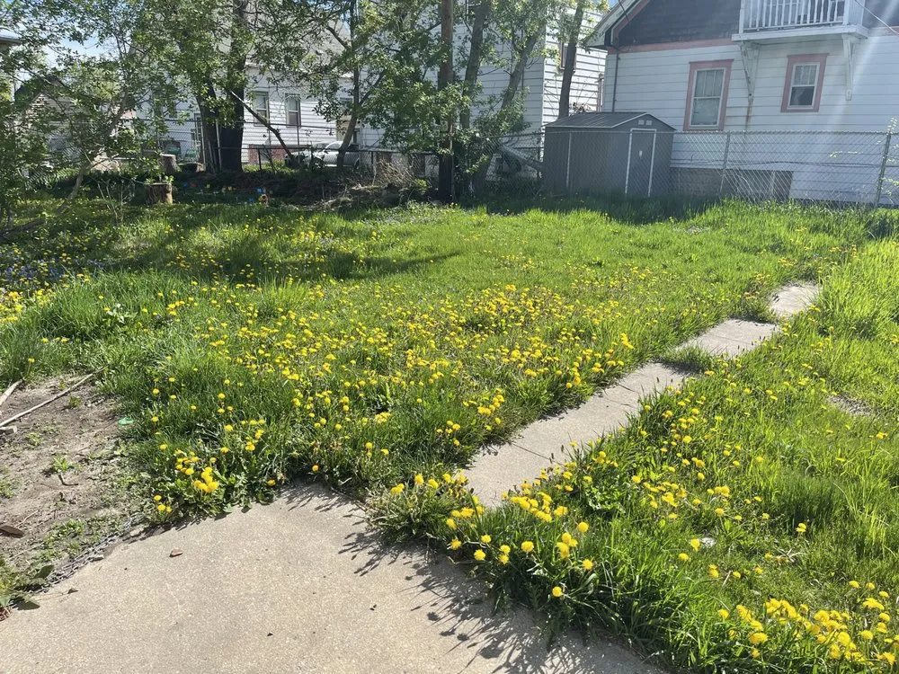 Expert landscape design in Wauwatosa, WI - Barnes & Lawns Landscaping