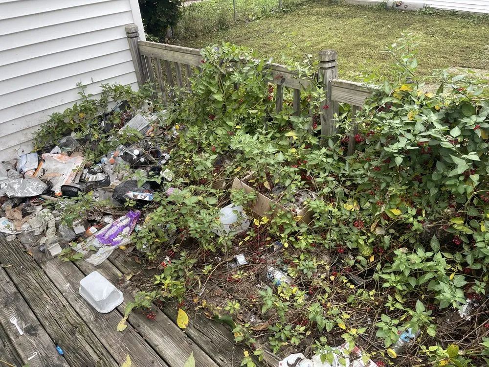 Expert landscape design for beautiful yards across Wauwatosa, WI - Barnes & Lawns Landscaping