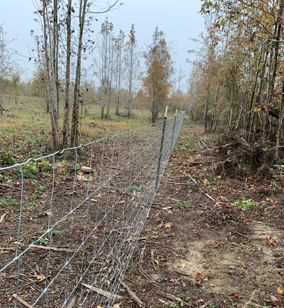 Local yard cleanup service for year-round maintenance in Graceville, FL by Barnes Family Fencing