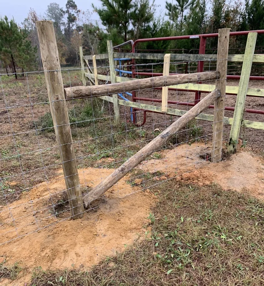 Professional outdoor landscaping for outdoor upgrades in Graceville, FL by Barnes Family Fencing