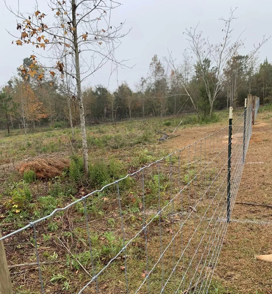 Expert lawn mowing service for year-round maintenance in Graceville, FL by Barnes Family Fencing