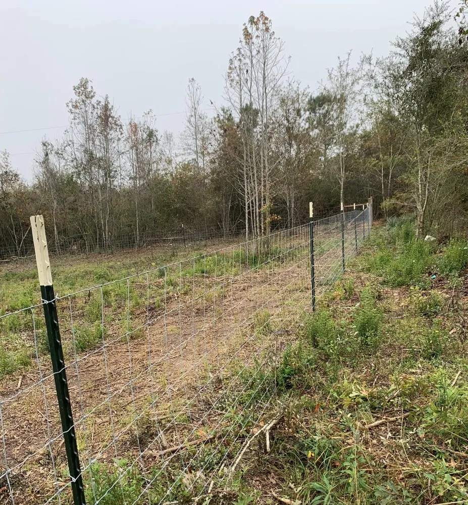 Top-rated landscape installation in Graceville, FL by Barnes Family Fencing