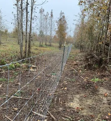 Barnes Family Fencing