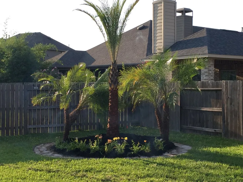 Trusted landscape installation for year-round maintenance across Missouri City, TX - Barnes Landscape