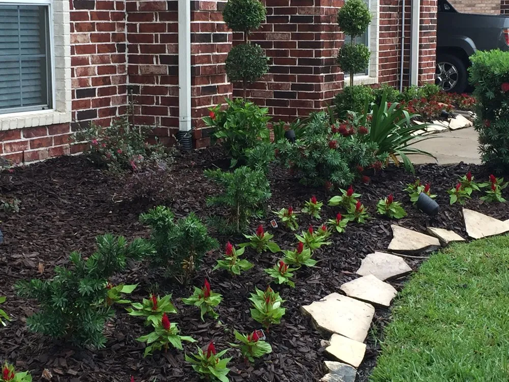 Expert yard cleanup service in Missouri City, TX - Barnes Landscape
