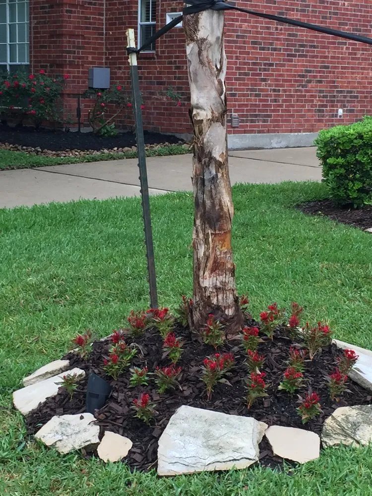 Affordable yard cleanup service for beautiful yards in Missouri City, TX by Barnes Landscape