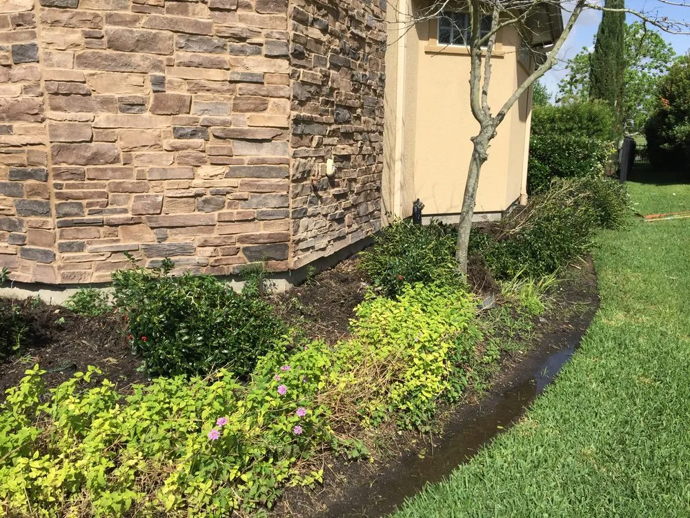 Top-rated lawn care service for year-round maintenance in Missouri City, TX by Barnes Landscape