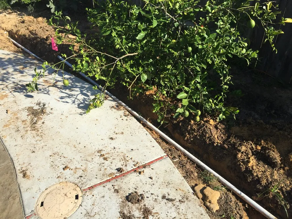 Affordable landscape design experts serving Missouri City, TX - Barnes Landscape