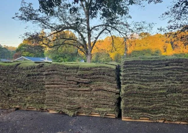 Professional yard cleanup service experts serving Jefferson, GA - Barnes Landscape Professionals