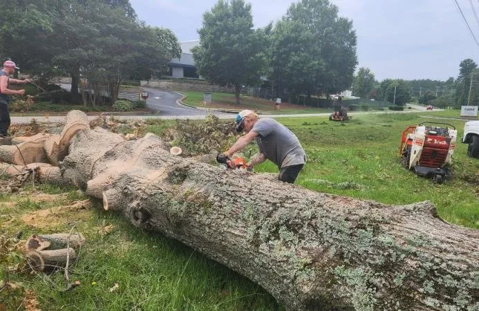 Custom yard maintenance near you in Jefferson, GA by Barnes Landscape Professionals