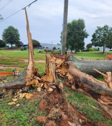 Affordable lawn care service experts serving Jefferson, GA - Barnes Landscape Professionals