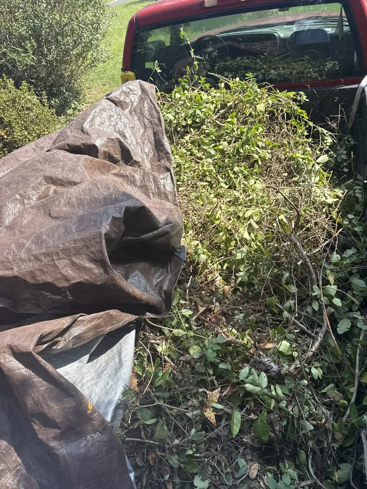 Reliable residential landscaping with custom design across Waldorf, MD - Barnes Landscaping