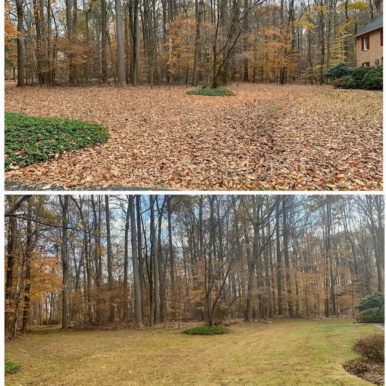 Local landscaping services experts serving Stewartstown, PA - Barnes Lawn and Tree Service