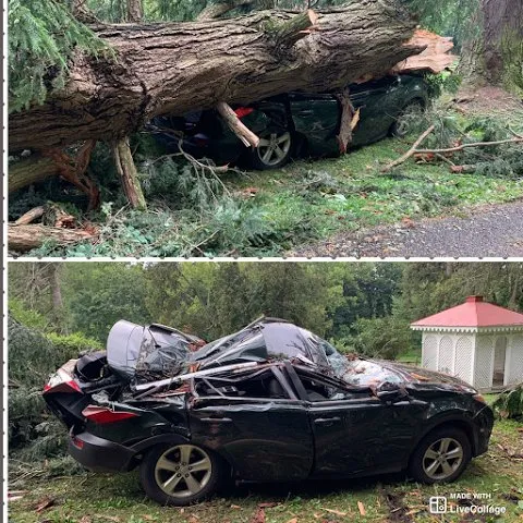 Affordable lawn care service for homes across Stewartstown, PA - Barnes Lawn and Tree Service