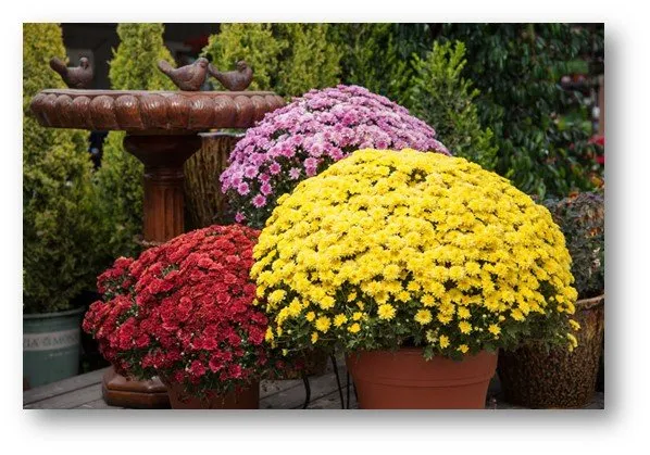 Top-rated garden landscaping with custom design in Huron, OH by Barnes Nursery