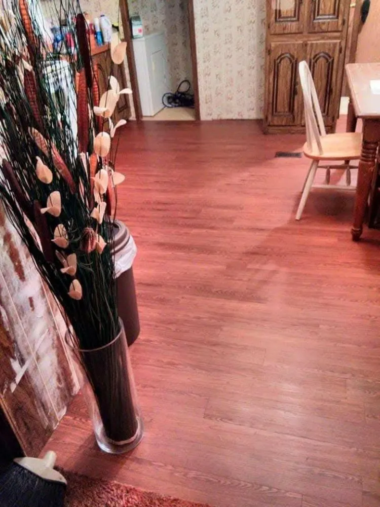 Local yard cleanup service in Summerville, SC - Barnes Yard Care And Houses Repair