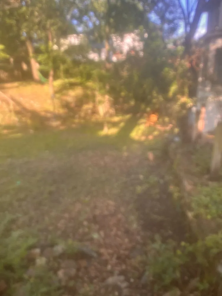 Local lawn care service in Bigelow, AR by Barnett Bros Lawn Care
