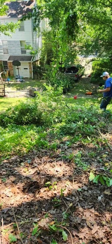 Affordable residential landscaping in Bigelow, AR - Barnett Bros Lawn Care