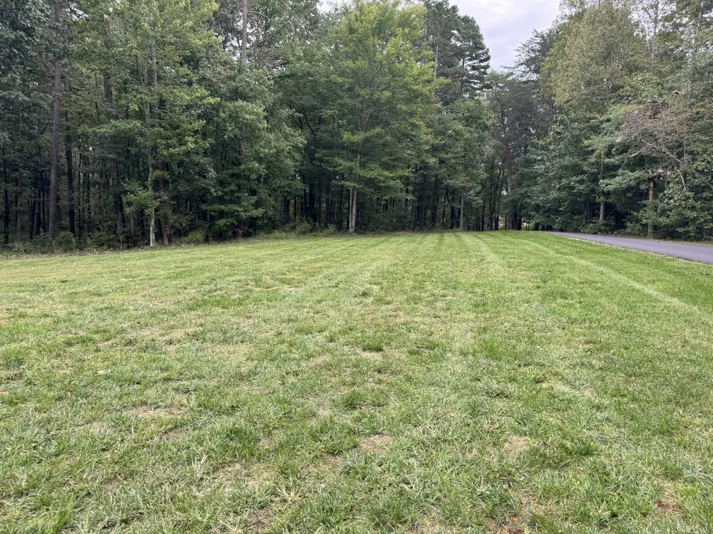 Custom garden landscaping for beautiful yards across Wallburg, NC - Barnett Lawn Care