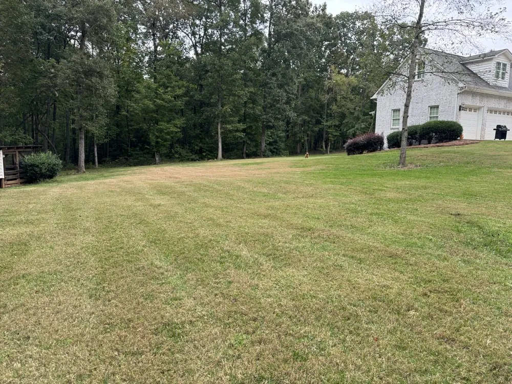 Professional lawn mowing service in Wallburg, NC - Barnett Lawn Care