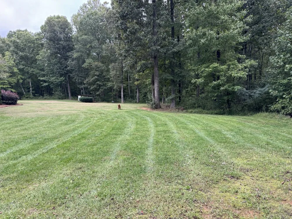 Reliable outdoor landscaping for homes in Wallburg, NC by Barnett Lawn Care