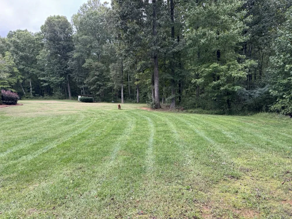 Reliable landscaping services in Wallburg, NC by Barnett Lawn Care