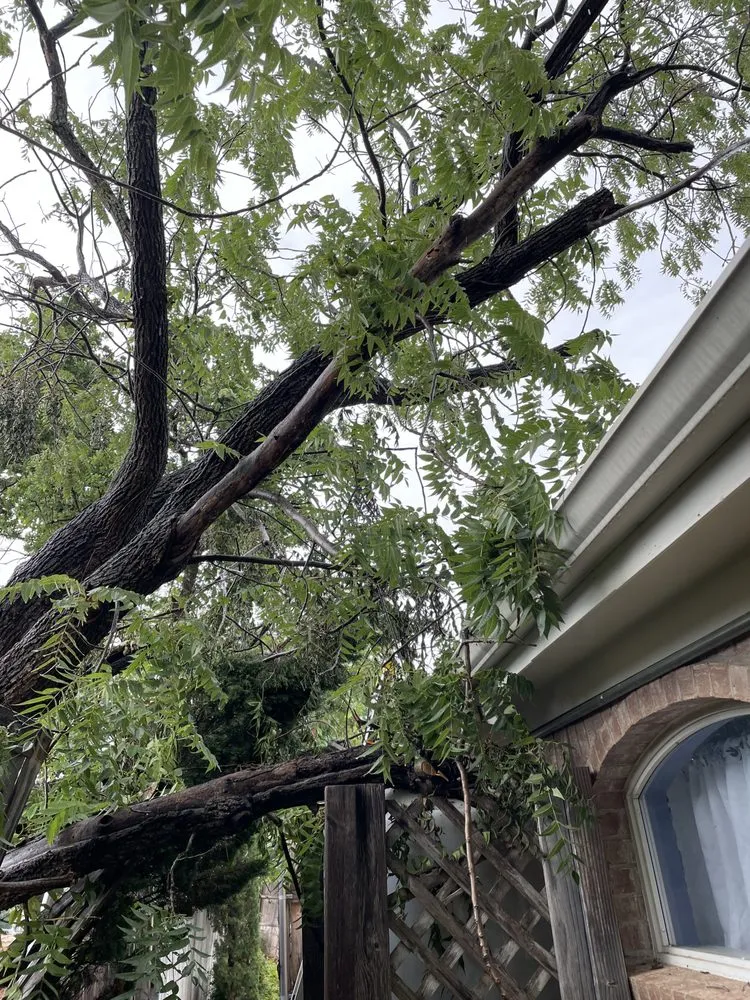 Top-rated lawn care service experts serving Sanger, TX - Barnett's Lawn & Tree Removal Service