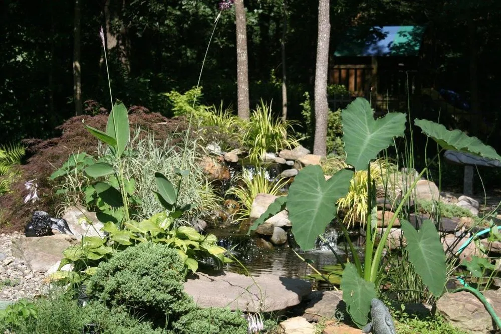 Local landscaping services in Monroe, NC by Barnhardt Landscaping & Design