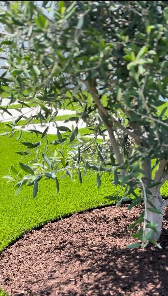 Affordable outdoor landscaping for homes across San Juan Capistrano, CA - Barnyard Specialties