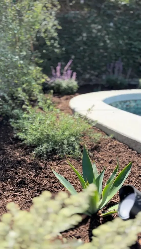 Custom landscape design in San Juan Capistrano, CA by Barnyard Specialties