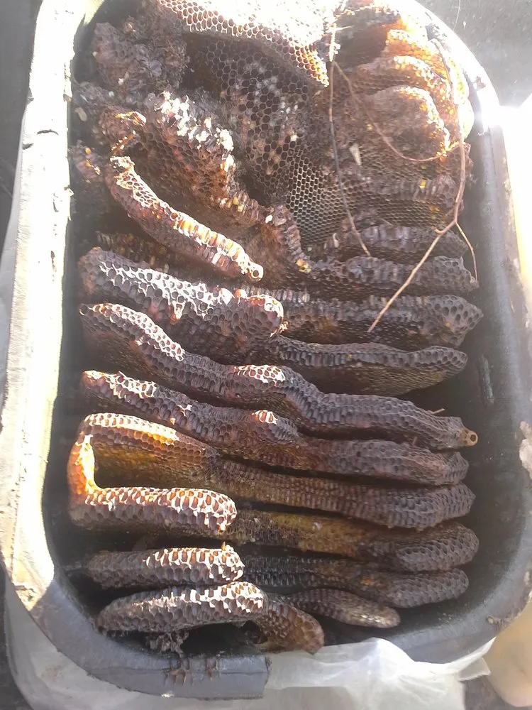 Custom landscape installation in Fort Mohave, AZ by Baron Services