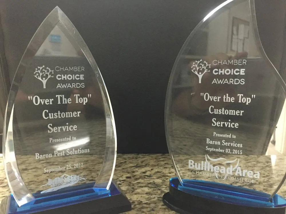 Affordable landscape design with custom design in Fort Mohave, AZ by Baron Services