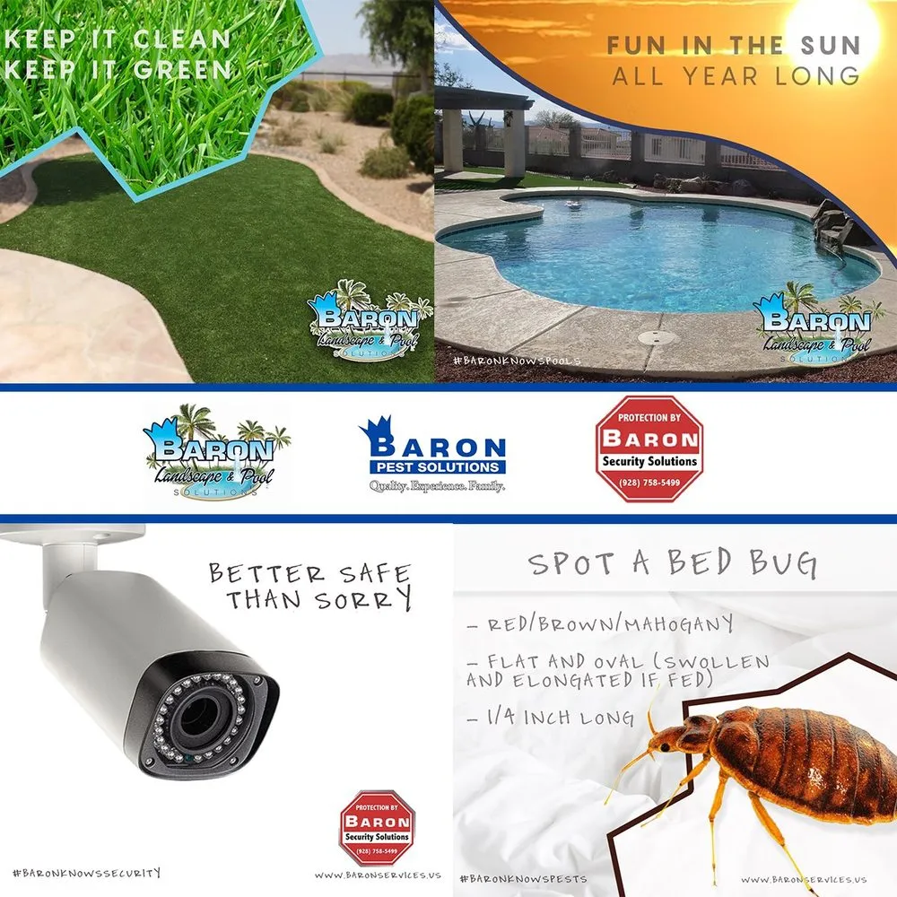 Trusted lawn care service experts serving Fort Mohave, AZ - Baron Services