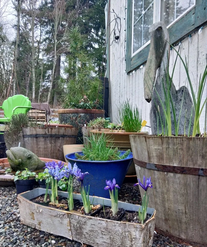 Trusted landscape design in Duvall, WA by Barons Garden Partner