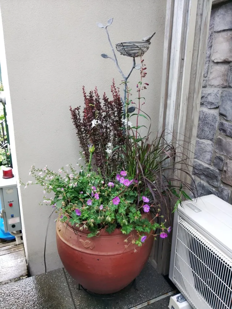 Custom lawn care service for beautiful yards in Duvall, WA by Barons Garden Partner