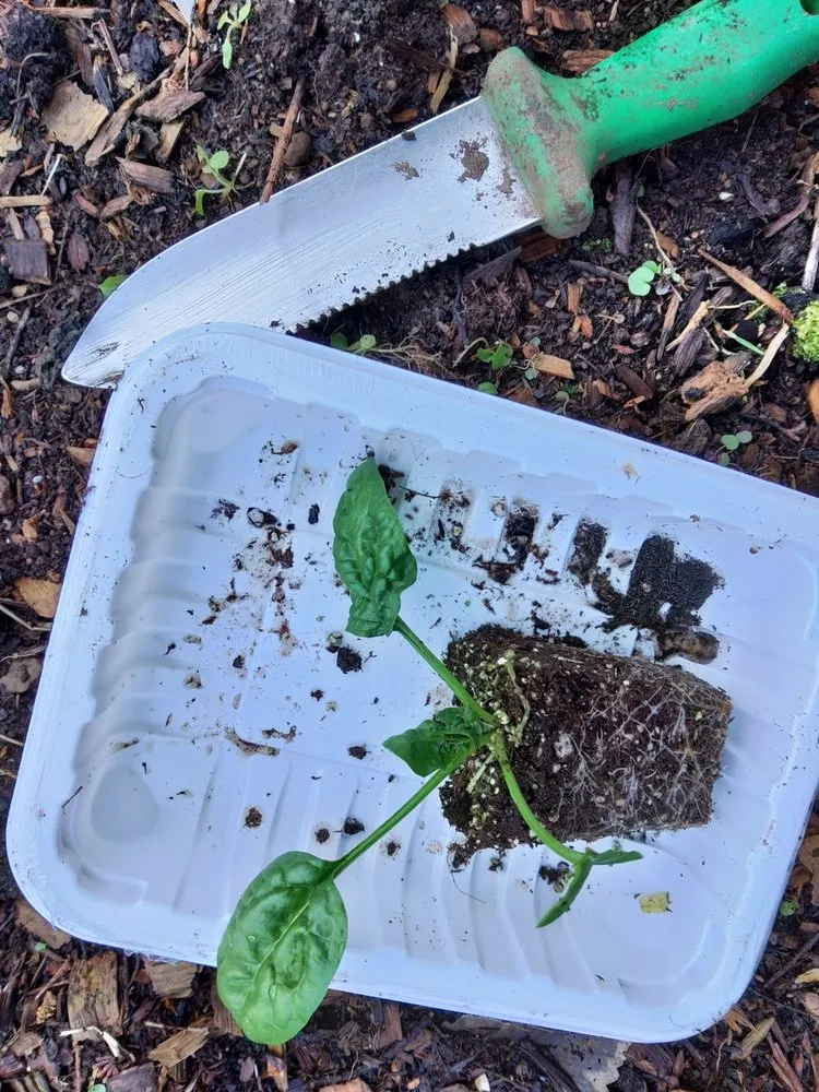 Reliable garden landscaping for residential properties across Duvall, WA - Barons Garden Partner