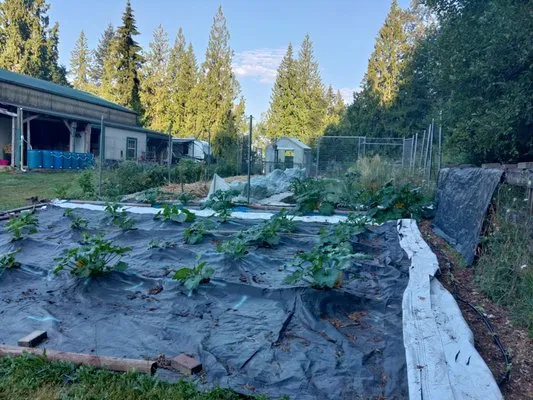 Barons Garden Partner Logo