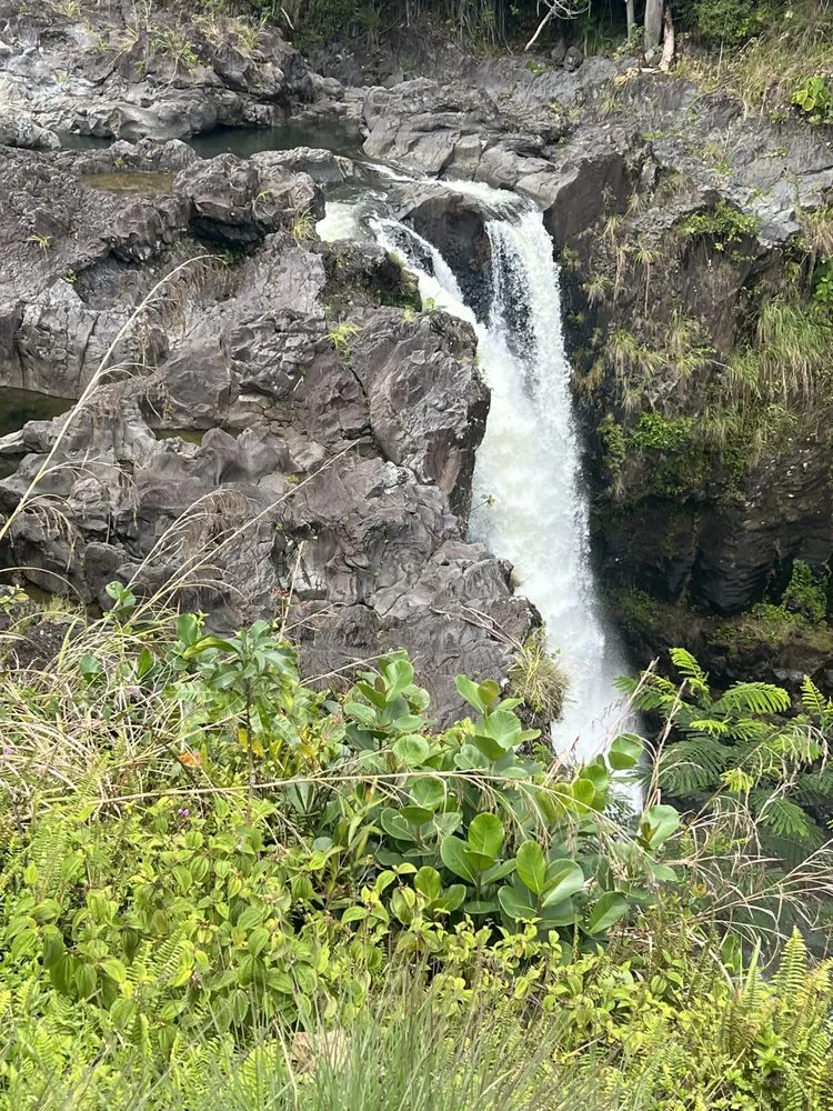 Trusted yard cleanup service in Conyers, GA - Barons Lawn Care