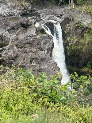 Barons Lawn Care Logo