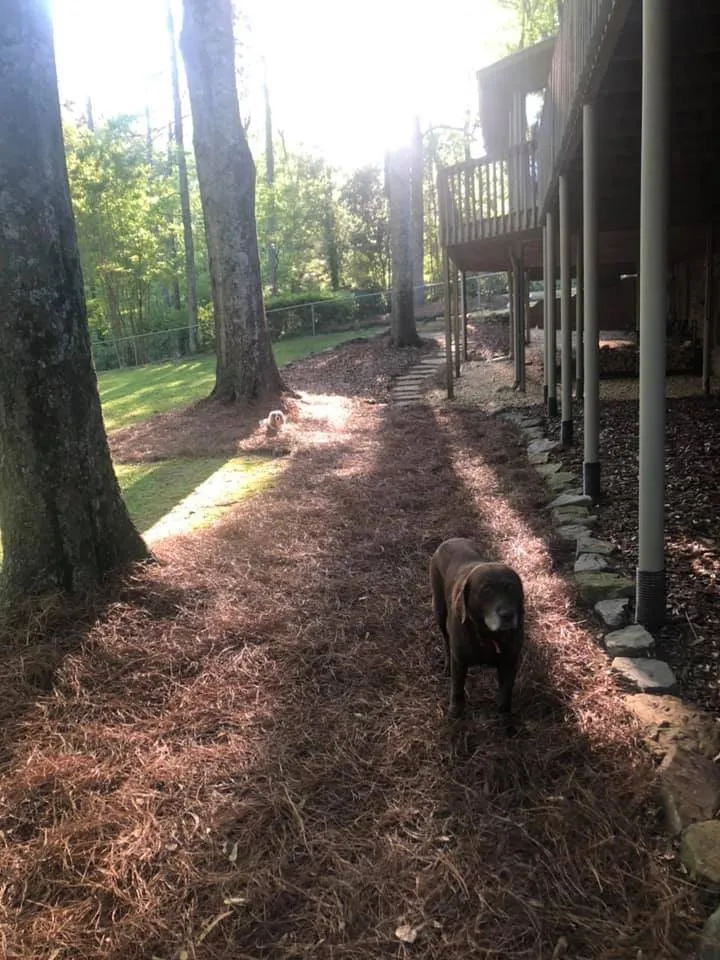 Local outdoor landscaping for homes across Chelsea, AL - BARR Landscaping