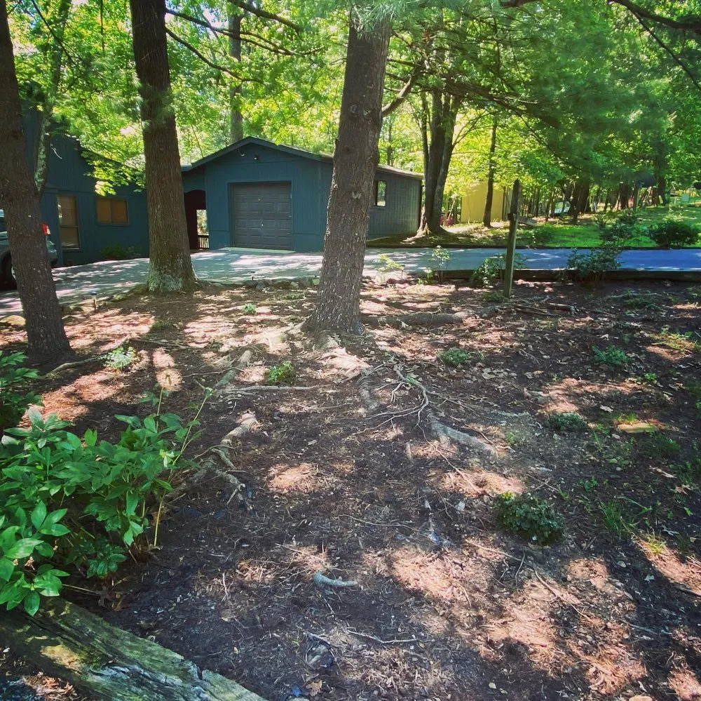 Expert yard cleanup service in Martinsburg, WV - Barr Landscaping