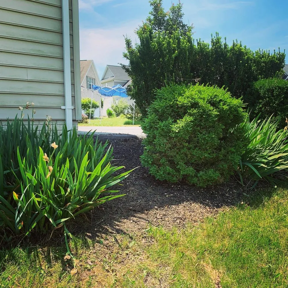 Custom yard maintenance for year-round maintenance in Martinsburg, WV by Barr Landscaping