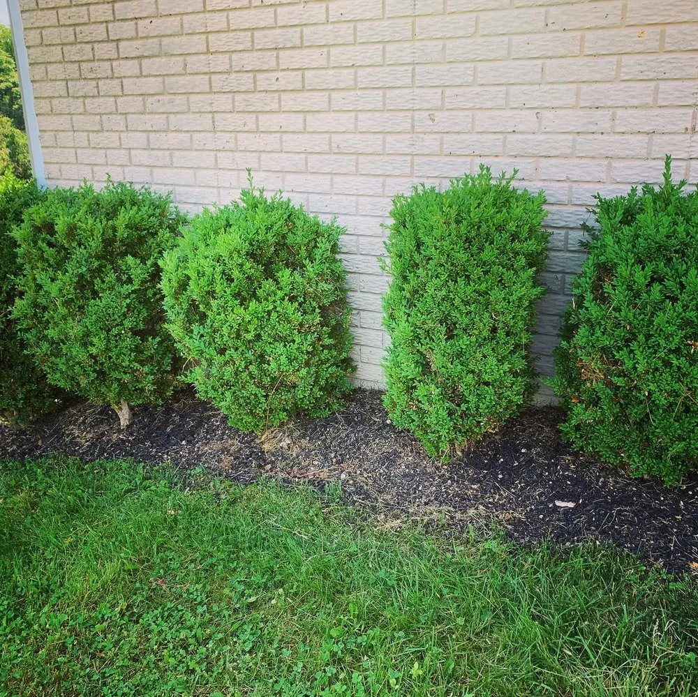 Trusted landscape installation in Martinsburg, WV - Barr Landscaping