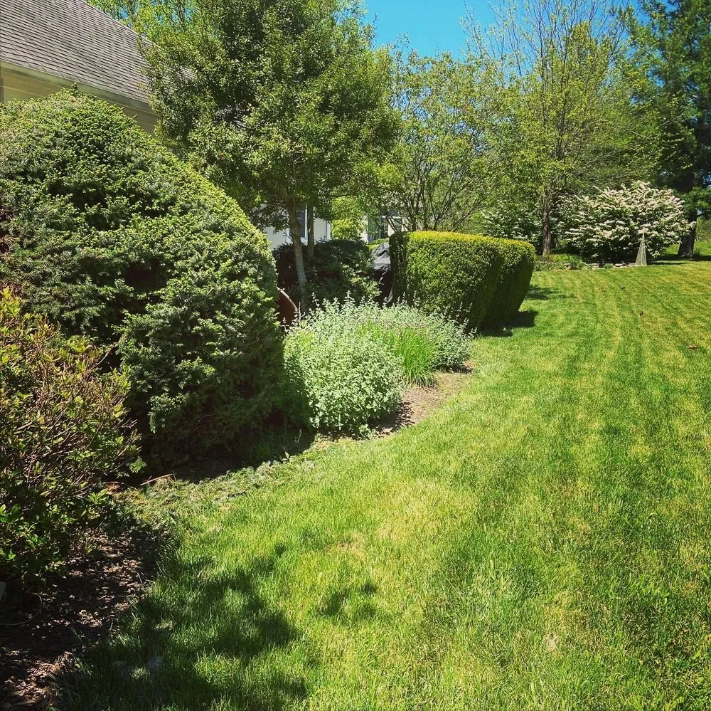 Affordable yard maintenance for homes across Martinsburg, WV - Barr Landscaping