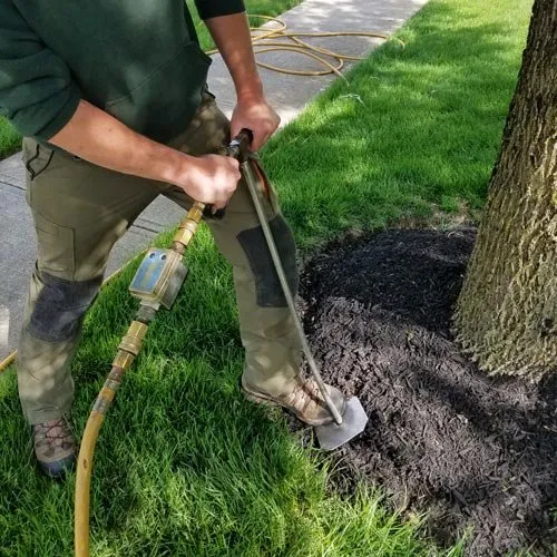 Affordable landscape installation in New Lenox, IL - Barr Tree Care