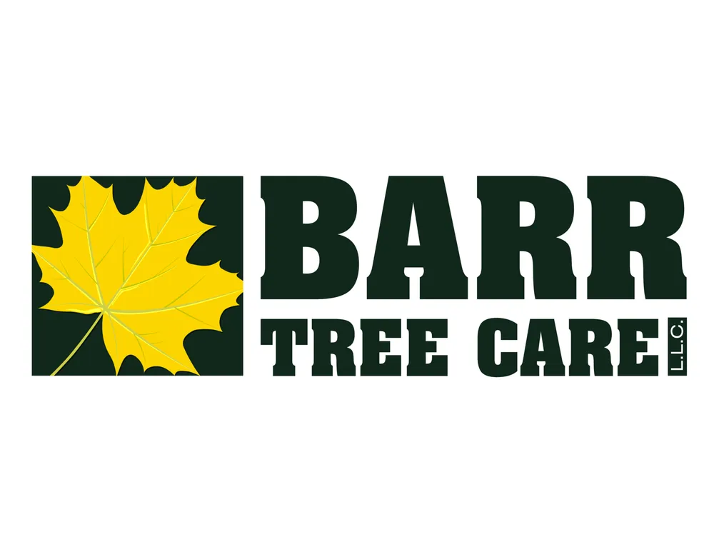 Reliable lawn mowing service in New Lenox, IL - Barr Tree Care